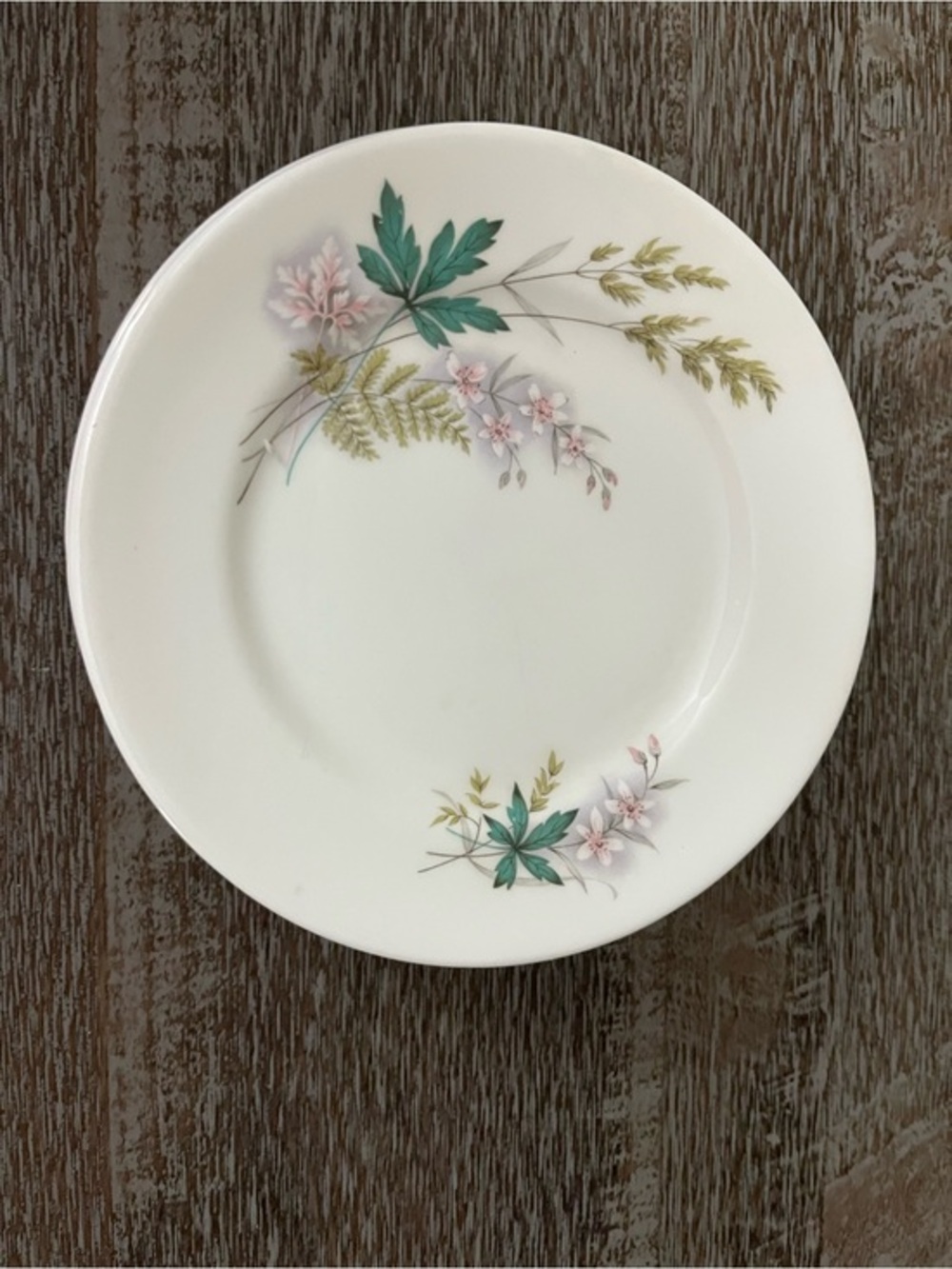 Vintage Queen Anne bone china plate in the Louise pattern, set of six